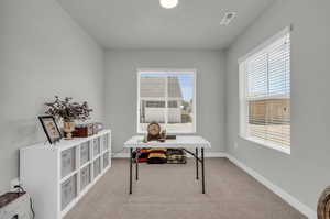 View of carpeted office