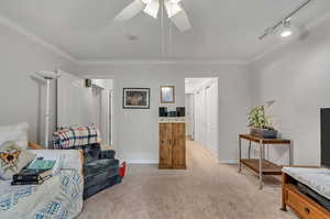 Carpeted living room with crown molding, ceiling fan, and track lighting