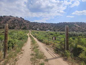 Front Entrance Gate/Driveway