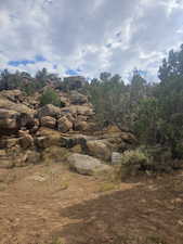 Beautiful huge boulder backdrop!