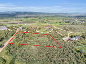 Birds eye view of property with a mountain view