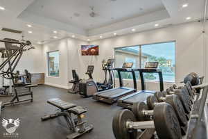 Gym with a tray ceiling