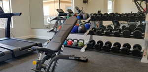 Workout area with a wealth of natural light