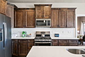 Kitchen featuring tasteful backsplash, dark brown cabinetry, appliances with stainless steel finishes, and sink