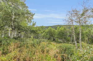 View of landscape