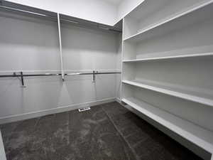 Spacious closet featuring carpet flooring