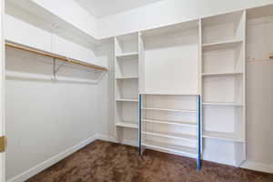 Walk in closet featuring dark carpet