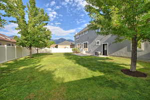 Flat usable Backyard with Mature shade trees