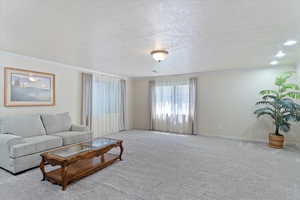 Carpeted basement family room featuring a textured ceiling, crown molding and can lighting.