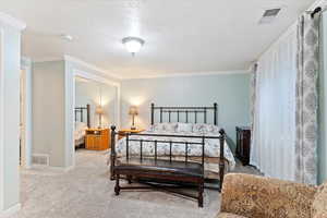 Basement bedroom featuring light carpet, crown molding, and a textured ceiling.