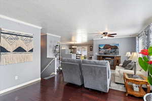 Spacious family room featuring ceiling fan, a textured ceiling, hardwood floors, plantation shutters and crown molding.