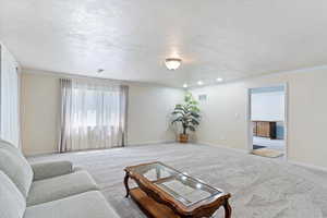 Carpeted basement family room featuring a textured ceiling, crown molding and can lighting.