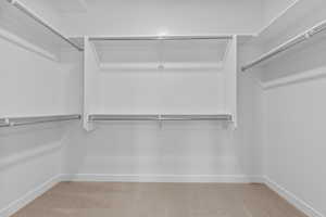 Spacious closet featuring light carpet