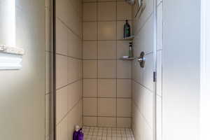 Bathroom with tiled shower