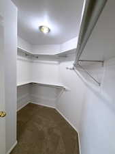 Spacious closet with carpet floors