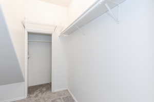 Walk in closet with light colored carpet