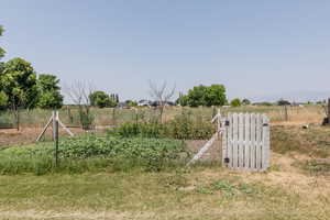 View of yard with a rural view