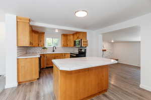 Kitchen with tasteful backsplash, light hardwood / wood-style flooring, appliances with stainless steel finishes, and sink