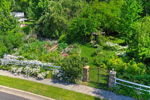 Overhead view of yard