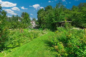 Lush Garden