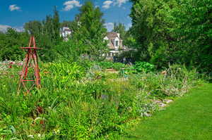 Lush Garden