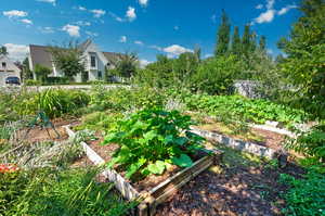 Raised Garden