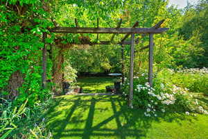 Pergola in Garden