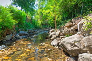 Little Cottonwood Creek