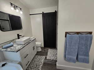 Bathroom with vanity, wood-type flooring, and toilet