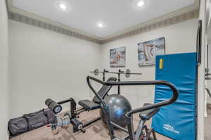 Exercise area with ornamental molding and carpet floors