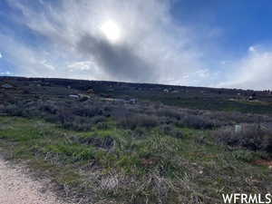 View of local wilderness featuring a rural view