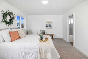 Carpeted bedroom featuring multiple windows