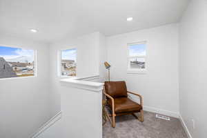 Living area featuring carpet floors and a wealth of natural light