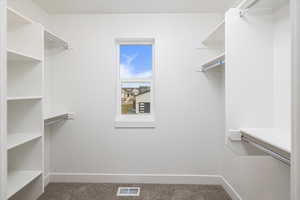 Spacious closet with carpet