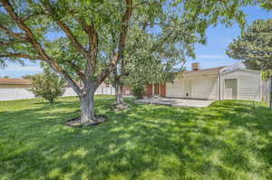 View of yard with a patio