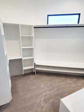 Spacious closet featuring carpet flooring