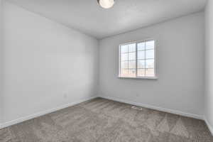 Empty room featuring light carpet