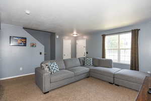 View of carpeted living room