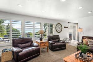 Carpeted living room with a wealth of natural light