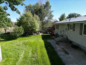 View of back yard