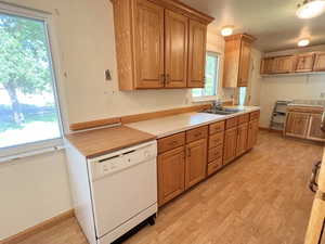 Kitchen with sink, dishwasher, light LVP / wood-style flooring, and a wealth of natural light