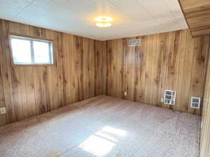 Basement featuring carpet floors and wooden walls