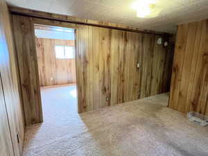 Basement with carpet floors and wooden walls