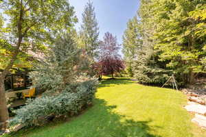 Backyard is terraced with grass and mature trees for privacy.