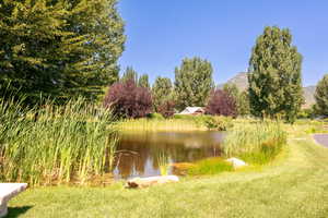 Dutch Fields pond