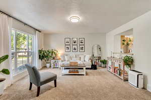 Living room featuring light carpet and a textured ceiling