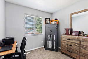 View of carpeted office space / bedroom