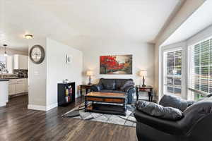 Living room featuring vaulted ceiling, dark hardwood / wood-style flooring, and sink