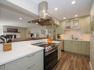 Kitchen featuring stainless steel appliances, decorative backsplash, sink, island exhaust hood, and dark hardwood / wood-style floors