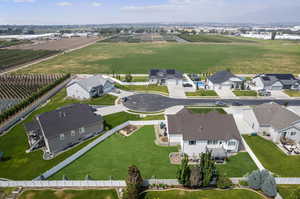 Aerial View of Cul-de-sac & Local Tree Farms